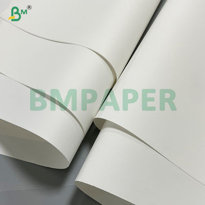 Yüksek kaliteli sanat kitapları ve albümleri için çevre dostu taş baskı kağıdı 300g