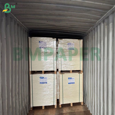 240gsm +15PE Mat Kuşe Kağıt Patlamış Mısır Kovası Yapımı İçin 61 X 86cm