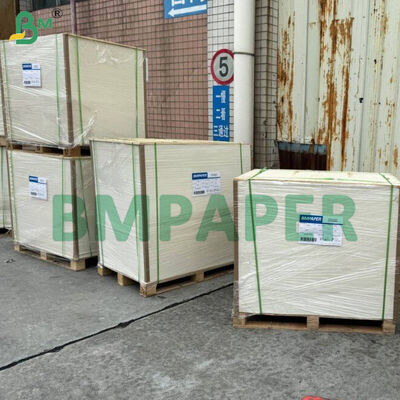 Gıda sınıfı kağıt / tabak kağıdı, PET kaplamalı