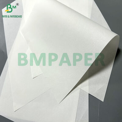 Sağlık Hizmetleri İçin Tıbbi Talimatlar 65 x 86cm 40 gram Beyaz Baskılı Kağıt