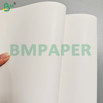 350gsm One Side Coated and Glossy White Cardboard for Packaging