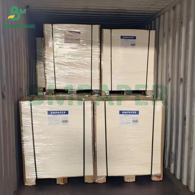 600um 700um 800um Emici Kaplamasız Bardak Altlığı Kartonu Bira Altlığı Yapımı İçin