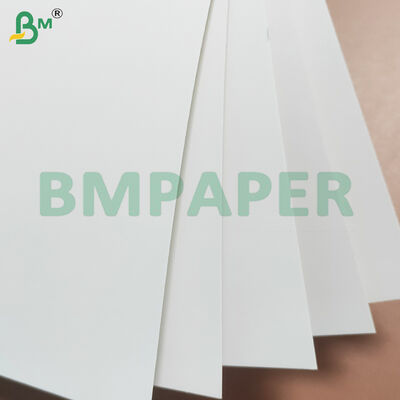 Gıda Kutusu Yapmak için 280gsm + 10gsm PE Kaplamalı Gıda Sınıfı Karton