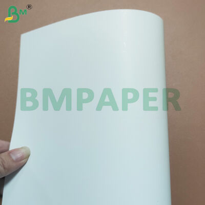 Gıda Kutusu Yapmak için 280gsm + 10gsm PE Kaplamalı Gıda Sınıfı Karton