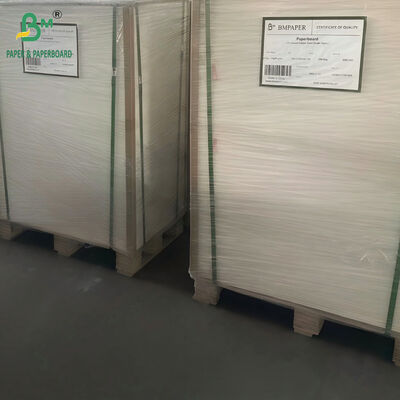 Kağıt Bardak Yapımı için Yüksek Toplu 1mm 1.5mm 2mm Emici Karton 70cm X 100cm