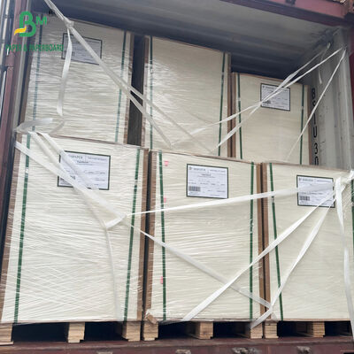 Kağıt Bardak Yapımı için Yüksek Toplu 1mm 1.5mm 2mm Emici Karton 70cm X 100cm