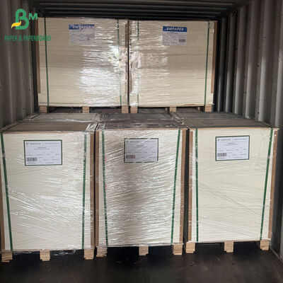 Kağıt Bardak Yapımı için Yüksek Toplu 1mm 1.5mm 2mm Emici Karton 70cm X 100cm