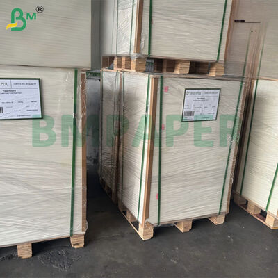 300gm Beyazlatılmamış Şeker Çalı Bagasse Pulp Kağıt Sayfası Biyolojik Bozulur Sertifikalı 787mm X 1092mm