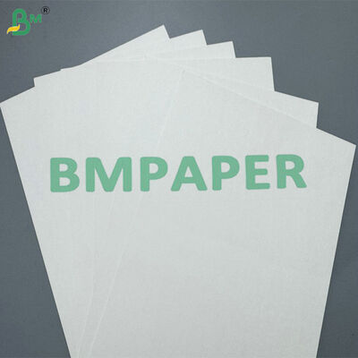Otomatik Bardak Yapma Makineleri için Yüksek Kaliteli Tek Taraflı PE Kaplamalı 190GSM 220 GSM Bardak Kağıt Hammaddesi