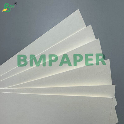 Otomatik Bardak Yapma Makineleri için Yüksek Kaliteli Tek Taraflı PE Kaplamalı 190GSM 220 GSM Bardak Kağıt Hammaddesi