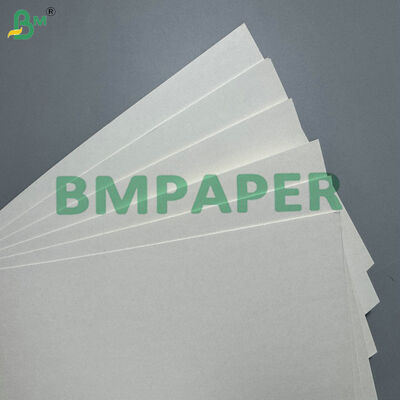 Otomatik Bardak Yapma Makineleri için Yüksek Kaliteli Tek Taraflı PE Kaplamalı 190GSM 220 GSM Bardak Kağıt Hammaddesi