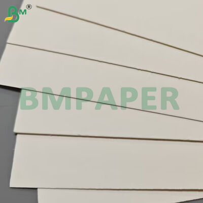 Gıda Sınıfı Gıda Kabı Kağıt Sayfaları 190gsm + PE Kaplama