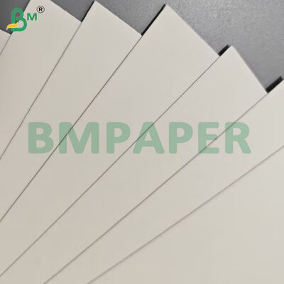 Gıda Sınıfı Gıda Kabı Kağıt Sayfaları 190gsm + PE Kaplama