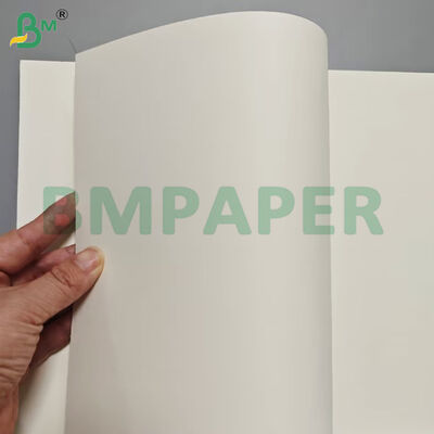 Gıda Sınıfı Gıda Kabı Kağıt Sayfaları 190gsm + PE Kaplama