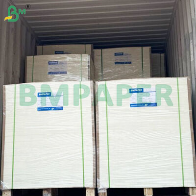 Gıda Sınıfı Gıda Kabı Kağıt Sayfaları 190gsm + PE Kaplama