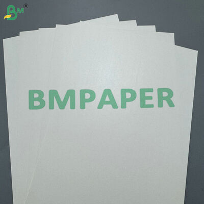 170-400 gsm PLA Kaplamalı Bardak Stok Kağıdı Sıcak ve Soğuk İçecek Bardakları İçin Kompostlanabilir Karton