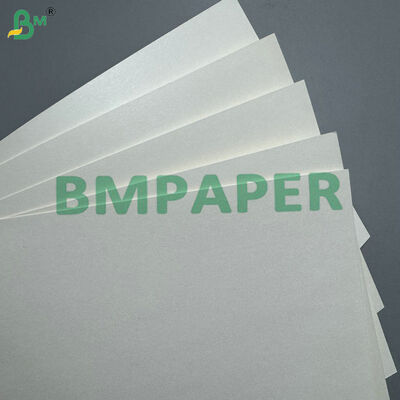 170-400 gsm PLA Kaplamalı Bardak Stok Kağıdı Sıcak ve Soğuk İçecek Bardakları İçin Kompostlanabilir Karton