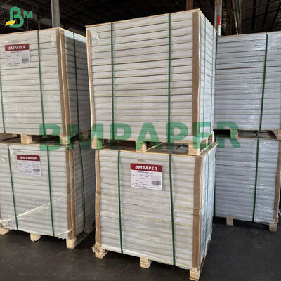 Çay torbası için 80 gram C1S Parlak Kağıt Dış zarflar 700 x 1000 mm Yüksek Beyazlık