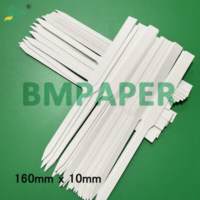 Beyaz koku test kağıdı şeritleri, emici tahta 160mm X 10mm 170mm X 9mm