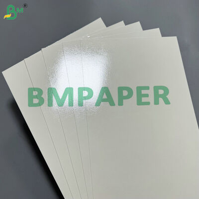 Food-Grade Greaseproof & Waterproof 190gsm 200gsm Takeout Packaging Paper for Meal Box