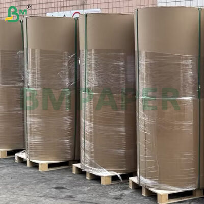 40gsm Silicone Coated Paper Rolls 600/1200mm Width for Baking