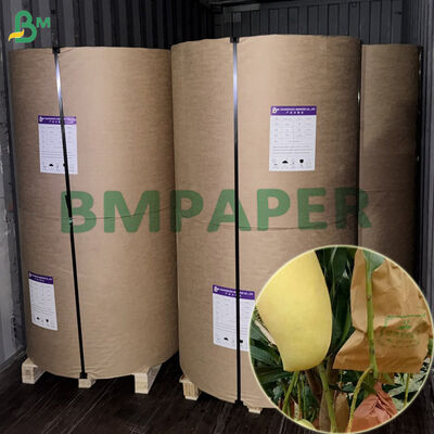 Mango İçin Çift Katmanlı Su Geçirmez 56gsm Meyve Koruma Sarma Kağıdı 450mm